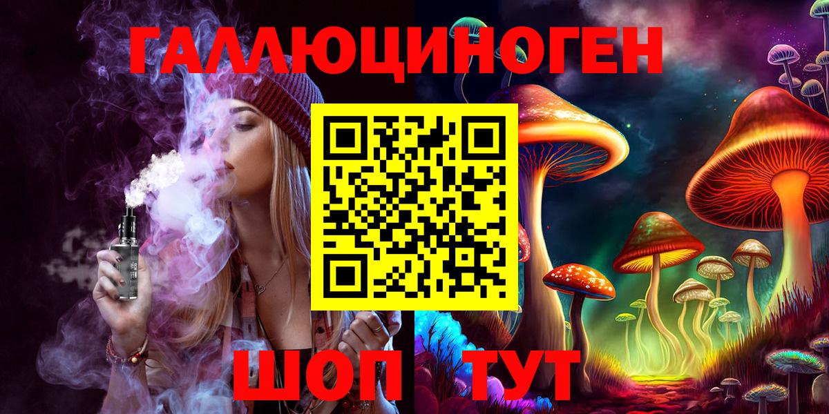 Псилоцибиновые грибы Psilocybe Всеволожск