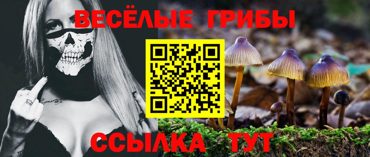 Всеволожск  Галлюциногенные грибы ЛСД  Вход с VPN  Галлюциногенные грибы MAGIC MUSHROOMS 